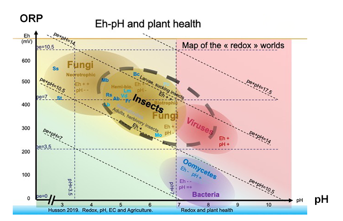 plant-health-img